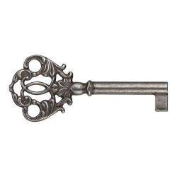 Ключ мебельный 6135.0035.016 цвет старое серебро
