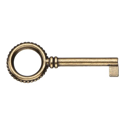 Ключ мебельный 6137.0040.002 цвет старая бронза
