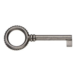 Ключ мебельный 6137.0040.016 цвет старое серебро