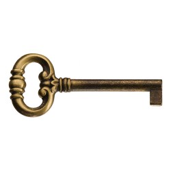 Ключ мебельный 6448.0050.001 цвет античная бронза