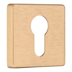 Накладка с цилиндрическим отверстием для ключа RO11Y ELX5 ROSET цвет брашированная латунь Накладка с цилиндрическим отверстием для ключа RO11Y ELX5 ROSET цвет брашированная латунь